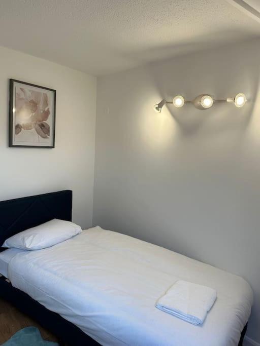 Spacious 4 Bedroom House Billericay Extérieur photo